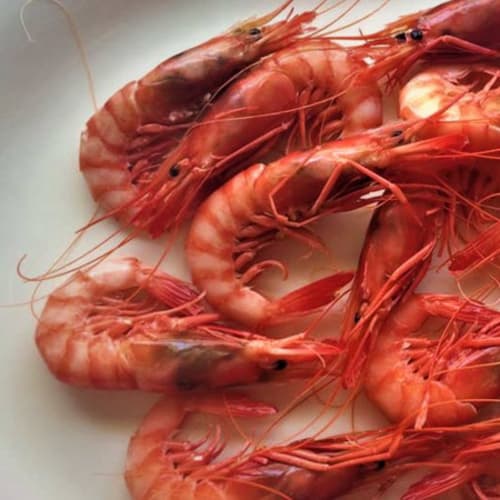 Los Calderos de Julia, Santiago de la Ribera