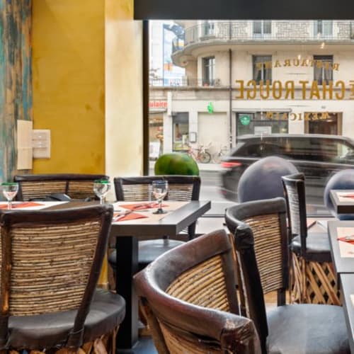 Le Chat Rouge - Genève, Genève