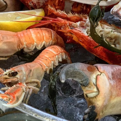Dinner Cruise Amsterdam - Rondvaart met eten, Amsterdam