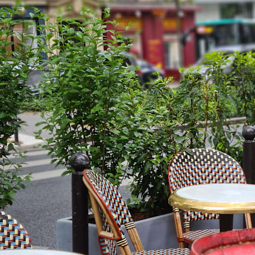 Le Charivari, Paris
