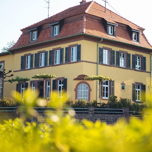 Amitié – La Cuisine du Château, Hartmannswiller