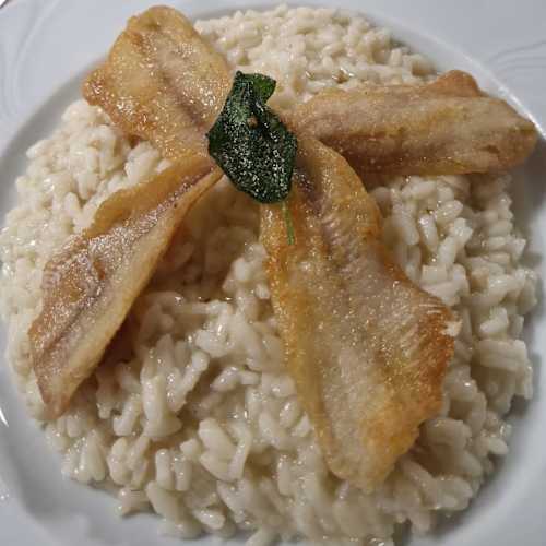 Bar Sport 2000 ristorante pizzeria, Vergiate