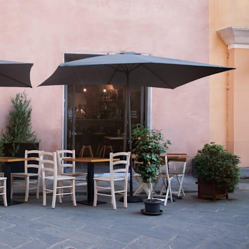Un'Ottima Annata, Albenga