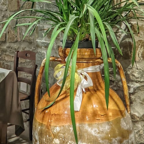 Il Ritrovo della Fenice, Cicerale