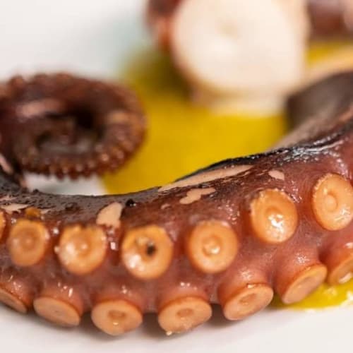 Luciano Cucina Sincera, Lamezia Terme
