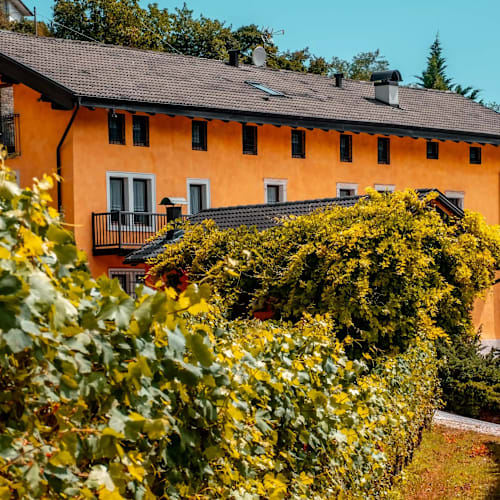 Ristorante La Vigneria Mas dei Chini, Trento