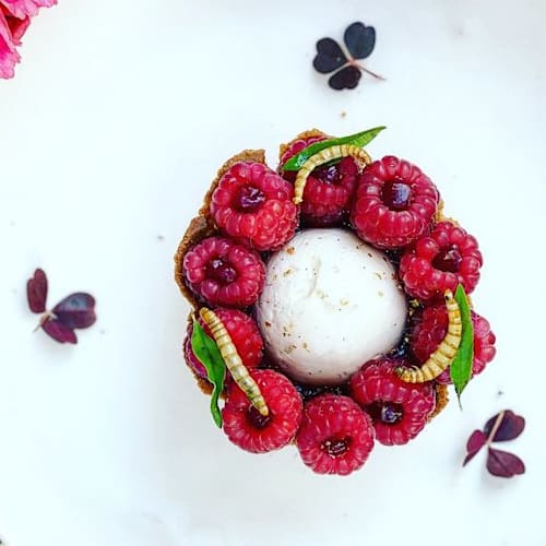 Inoveat - L'Insecte Gastronome, Paris