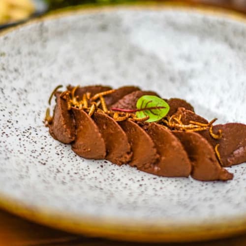 Inoveat - L'Insecte Gastronome, Paris