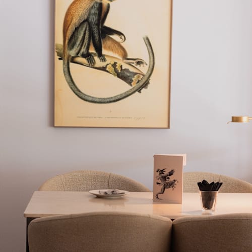 Bar Fauna, Barcelona