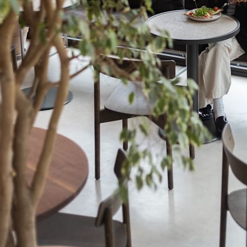 Bar Fauna, Barcelona