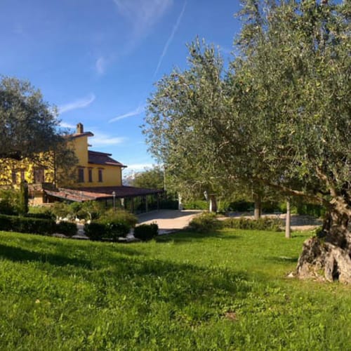 Locanda Radici di Angelo D'Amico, Melizzano