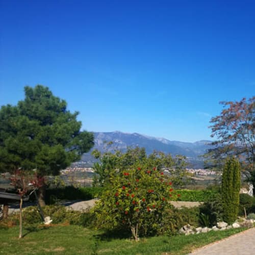 Locanda Radici di Angelo D'Amico, Melizzano