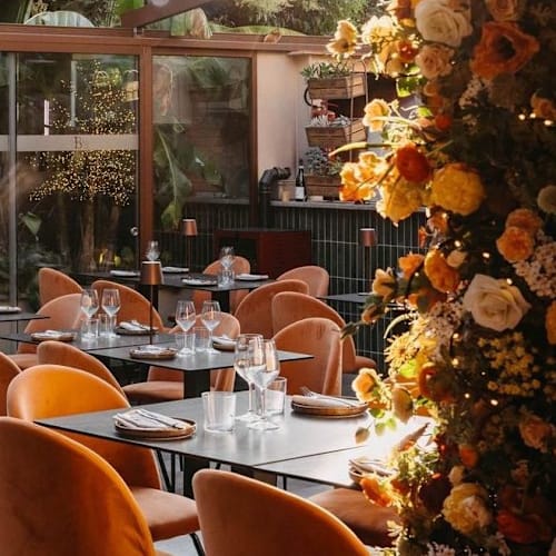 Barto's, Grottaferrata