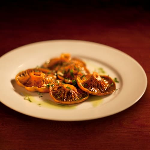 Nou Celler, Barcelona