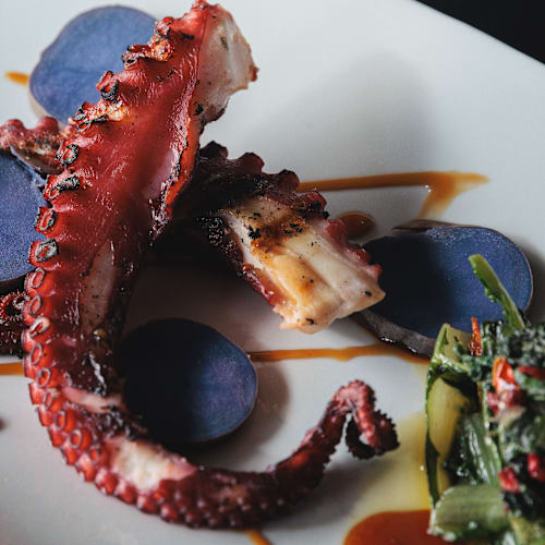 Opera Ristorante, Marina