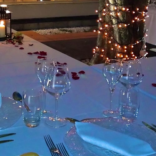 Il Tulipano Ristorante, Zola Predosa