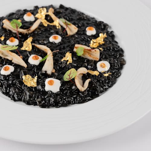 Adriatico Terrace, Lido