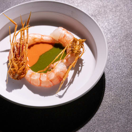 Tetsu, Madrid