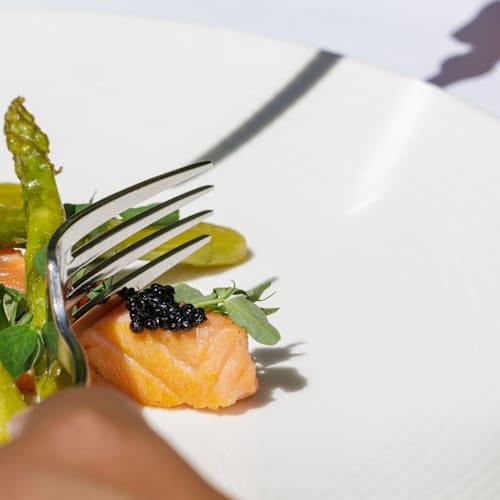 Le Petit Jardin - Le Gastronomique, Montpellier