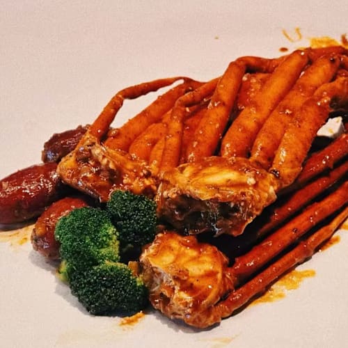 Folie Crabe Rotterdam, Rotterdam