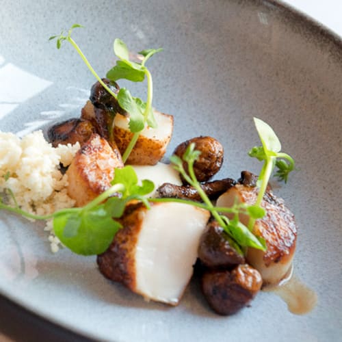 De Compagnon, Amsterdam