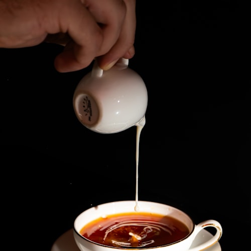 Otium Rooftop, Torino