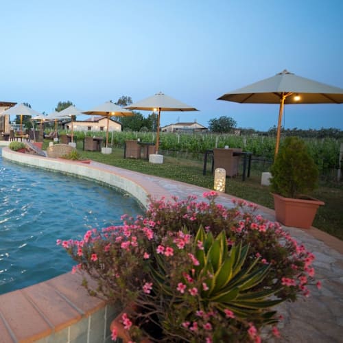 Kuta Restaurant, Isola Capo Rizzuto