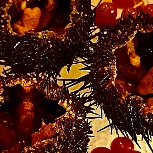 Trattoria A Casa Mia, Povegliano Veronese