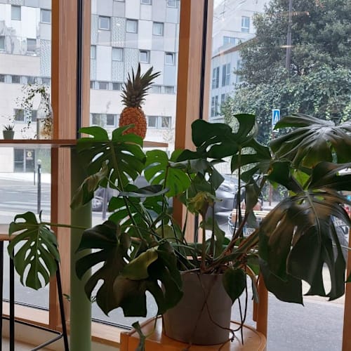 Cayo Coffee Roasters, Paris