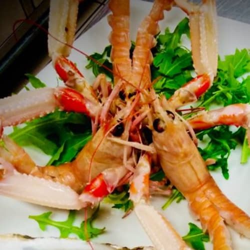 Vida Pizza & More, Castellammare di Stabia