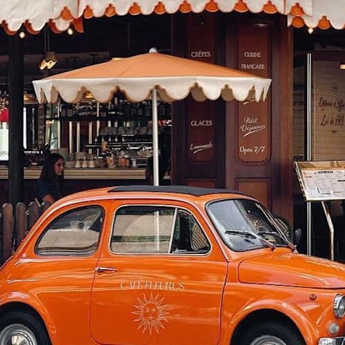 Café Fleurus, Paris