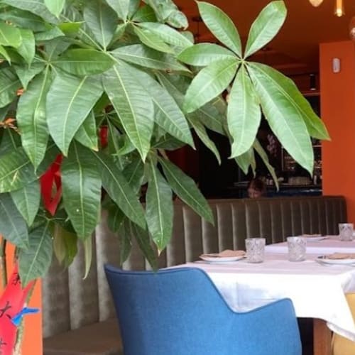 The Bund Chinese Cuisine, Boadilla del Monte