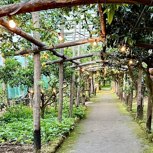 La Limonaia, Sorrento