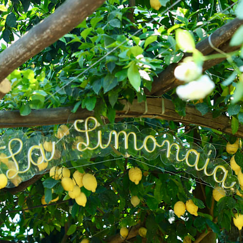 La Limonaia, Sorrento