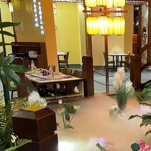 Sushi Panda, Cosenza