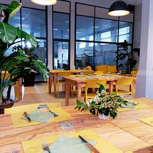 Il Ristoro del Frantoio - Frantoio del Monte Pisano, Vicopisano