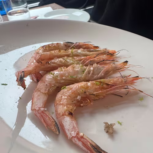 Cervecería Acorde, Madrid