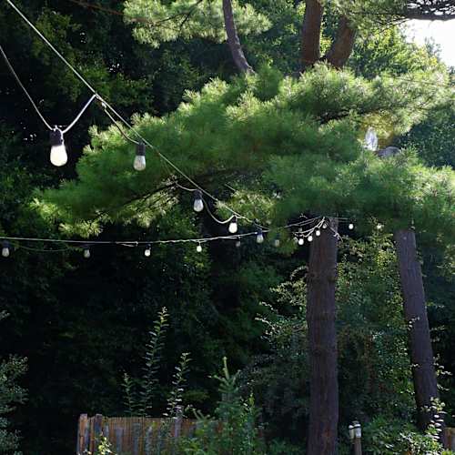 Forest kitchen, Sint-Genesius-Rode