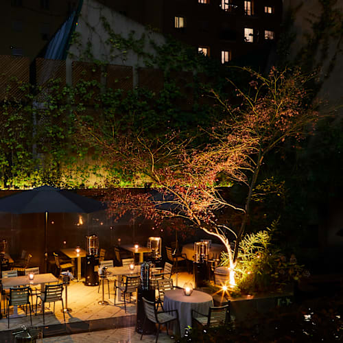 Zen, Madrid