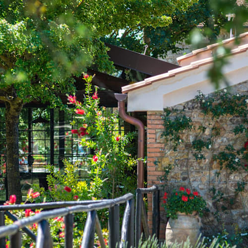 Tenuta Il Cicalino, Massa Marittima