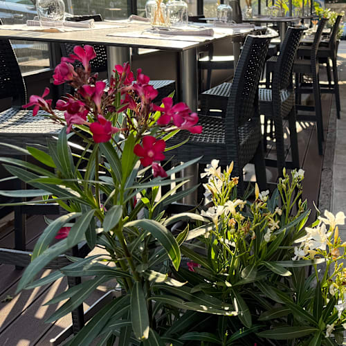 Bistro Coco, Genève