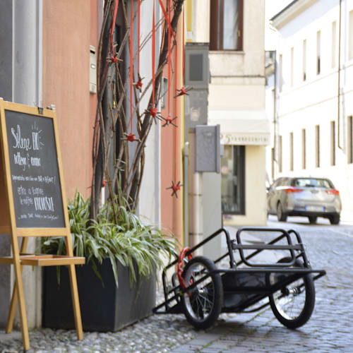Silene, Vicenza