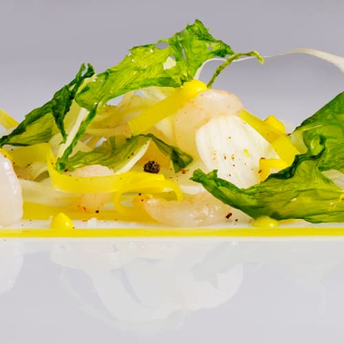 Il Bavaglino, Terrasini