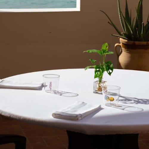 Il Bavaglino, Terrasini