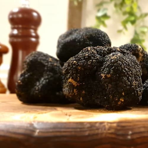 La pecora nera - Polpette & Co., Perugia