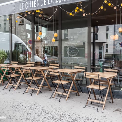 Le Chien de La Lune, Paris