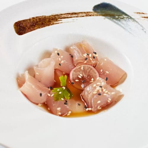 Aijo by tokyo, Collegno