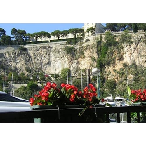 Amici Miei, Monaco
