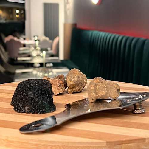 Avgvsta, Bene Vagienna