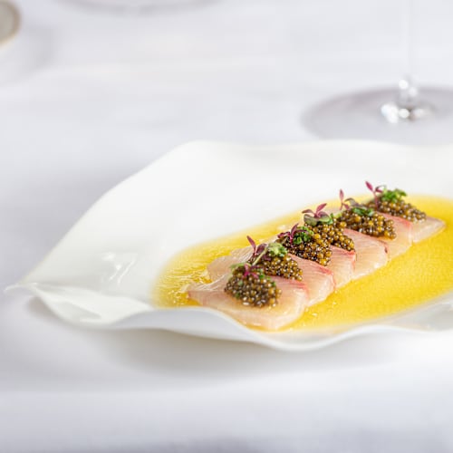 Crudo7 – Fine Levantine Cuisine, Genève